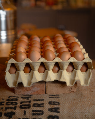 10 æg fra Stengården